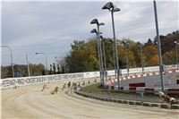 Chrt_dostihy_Greyhound_Park_Motol_Praha_Four_Leaf_Cup_IMG_0228.JPG