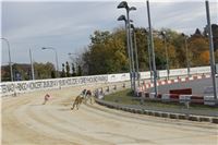 Chrt_dostihy_Greyhound_Park_Motol_Praha_Four_Leaf_Cup_IMG_0229.JPG