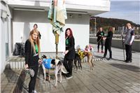 Chrt_dostihy_Greyhound_Park_Motol_Praha_Four_Leaf_Cup_IMG_0239.JPG