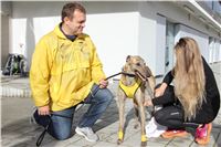 Chrt_dostihy_Greyhound_Park_Motol_Praha_Four_Leaf_Cup_IMG_0248.JPG