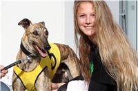 Chrt_dostihy_Greyhound_Park_Motol_Praha_Four_Leaf_Cup_IMG_0264.JPG