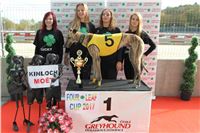 Chrt_dostihy_Greyhound_Park_Motol_Praha_Four_Leaf_Cup_IMG_0269.JPG