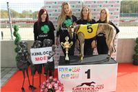 Chrt_dostihy_Greyhound_Park_Motol_Praha_Four_Leaf_Cup_IMG_0272.JPG