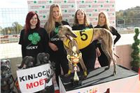 Chrt_dostihy_Greyhound_Park_Motol_Praha_Four_Leaf_Cup_IMG_0282.JPG