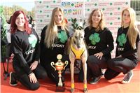 Chrt_dostihy_Greyhound_Park_Motol_Praha_Four_Leaf_Cup_IMG_0285.JPG