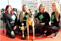 Chrt_dostihy_Greyhound_Park_Motol_Praha_Four_Leaf_Cup_IMG_0288.JPG