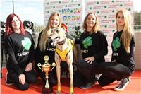 Chrt_dostihy_Greyhound_Park_Motol_Praha_Four_Leaf_Cup_IMG_0289.JPG