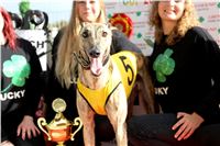 Chrt_dostihy_Greyhound_Park_Motol_Praha_Four_Leaf_Cup_IMG_0294.JPG