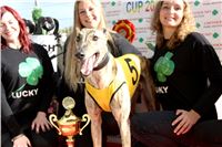 Chrt_dostihy_Greyhound_Park_Motol_Praha_Four_Leaf_Cup_IMG_0295.JPG