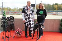 Chrt_dostihy_Greyhound_Park_Motol_Praha_Four_Leaf_Cup_IMG_0296.JPG