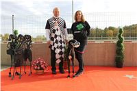 Chrt_dostihy_Greyhound_Park_Motol_Praha_Four_Leaf_Cup_IMG_0298.JPG