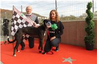 Chrt_dostihy_Greyhound_Park_Motol_Praha_Four_Leaf_Cup_IMG_0302.JPG