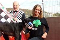 Chrt_dostihy_Greyhound_Park_Motol_Praha_Four_Leaf_Cup_IMG_0311.JPG