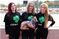 Chrt_dostihy_Greyhound_Park_Motol_Praha_Four_Leaf_Cup_IMG_0315.JPG