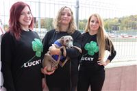 Chrt_dostihy_Greyhound_Park_Motol_Praha_Four_Leaf_Cup_IMG_0320.JPG