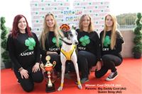 Chrt_dostihy_Greyhound_Park_Motol_Praha_Four_Leaf_Cup_img_0108.JPG