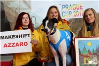 Chrt_dostihy_Prague-Cup_Greyhound_Park_Motol_4_IMG_0625_v.jpg