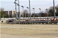 Chrt_dostihy_Prague Cup_Greyhound_Park_Motol_IMG_0447.JPG