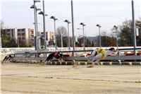 Chrt_dostihy_Prague Cup_Greyhound_Park_Motol_IMG_0448.JPG