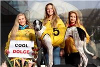 Chrt_dostihy_Prague Cup_Greyhound_Park_Motol_IMG_0466.JPG