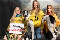 Chrt_dostihy_Prague Cup_Greyhound_Park_Motol_IMG_0468.JPG