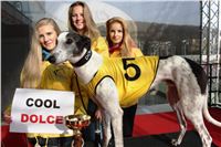 Chrt_dostihy_Prague Cup_Greyhound_Park_Motol_IMG_0475.JPG