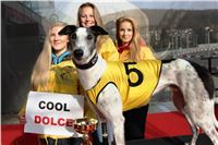 Chrt_dostihy_Prague Cup_Greyhound_Park_Motol_IMG_0485.JPG