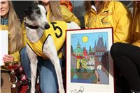 Chrt_dostihy_Prague Cup_Greyhound_Park_Motol_IMG_0490_v.JPG