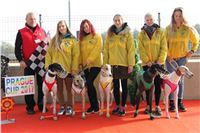 Chrt_dostihy_Prague Cup_Greyhound_Park_Motol_IMG_0516.JPG