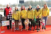 Chrt_dostihy_Prague Cup_Greyhound_Park_Motol_IMG_0517.JPG