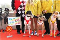 Chrt_dostihy_Prague Cup_Greyhound_Park_Motol_IMG_0518.JPG