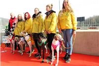 Chrt_dostihy_Prague Cup_Greyhound_Park_Motol_IMG_0520.JPG