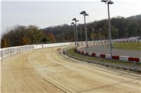 Chrt_dostihy_Prague Cup_Greyhound_Park_Motol_IMG_0527.JPG