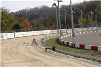 Chrt_dostihy_Prague Cup_Greyhound_Park_Motol_IMG_0528.JPG