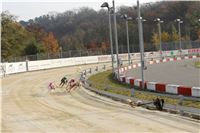 Chrt_dostihy_Prague Cup_Greyhound_Park_Motol_IMG_0529.JPG