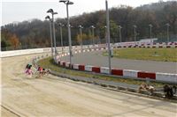 Chrt_dostihy_Prague Cup_Greyhound_Park_Motol_IMG_0530.JPG