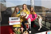 Chrt_dostihy_Prague Cup_Greyhound_Park_Motol_IMG_0550.JPG