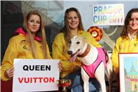 Chrt_dostihy_Prague Cup_Greyhound_Park_Motol_IMG_0569.JPG