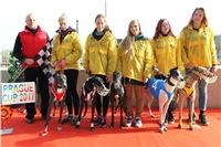 Chrt_dostihy_Prague Cup_Greyhound_Park_Motol_IMG_0575.JPG