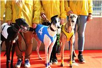 Chrt_dostihy_Prague Cup_Greyhound_Park_Motol_IMG_0579.JPG