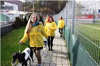 Chrt_dostihy_Prague Cup_Greyhound_Park_Motol_IMG_0584.JPG