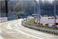 Chrt_dostihy_Prague Cup_Greyhound_Park_Motol_IMG_0597.JPG