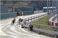 Chrt_dostihy_Prague Cup_Greyhound_Park_Motol_IMG_0601.JPG