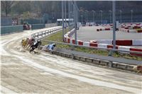 Chrt_dostihy_Prague Cup_Greyhound_Park_Motol_IMG_0603.JPG