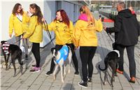 Chrt_dostihy_Prague Cup_Greyhound_Park_Motol_IMG_0609.JPG