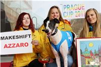 Chrt_dostihy_Prague Cup_Greyhound_Park_Motol_IMG_0625.JPG