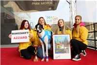 Chrt_dostihy_Prague Cup_Greyhound_Park_Motol_IMG_0627.JPG