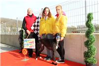 Chrt_dostihy_Prague Cup_Greyhound_Park_Motol_IMG_0633.JPG