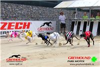 Chrt_dostihy_PF_2017_Greyhound_Racing_Park_Motol_CGDF_závod.jpg