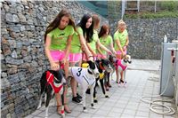 Chrt_dostihy_Ceska_Greyhound_Dostihova_Federace_002.JPG